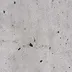 Concrete 1