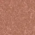 Coral Haze