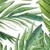 Nature leafs