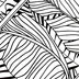 Nature - Palm